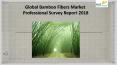Global Bamboo Fibers Market Professional Survey Report 2018 PowerPoint PPT Presentation