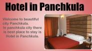Hotel in panchkula (2)