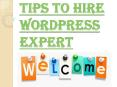 Things to Kept in Mind Before you Hire Wordpress Expert PowerPoint PPT Presentation