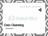 Data Cleansing Services | Global Elist