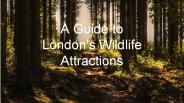 A Guide to London's Wildlife Attractions
