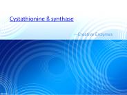 Cystathionine β synthase
