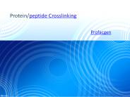 Protein/peptide Crosslinking