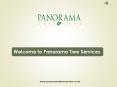 Tree Trimming Service Based in Tampa, FL - Panorama Tree Care PowerPoint PPT Presentation