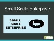 Presentation on the Role of Small Scale Entreprises (1)