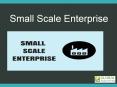 Presentation on the Role of Small Scale Entreprises (2) PowerPoint PPT Presentation