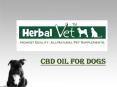 CBD Oil for Dogs PowerPoint PPT Presentation