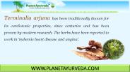 Terminalia Arjuna - Health Benefits, Medicinal Uses & Properties
