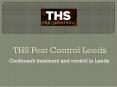 Get Affordable Cockroach Control Services in Leeds PowerPoint PPT Presentation