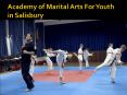 Academy of Marital Arts For Youth in Salisbury PowerPoint PPT Presentation
