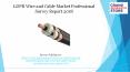 LDPE Wire and Cable Market Professional Survey Report 2018 PowerPoint PPT Presentation