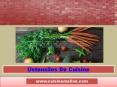 Ustensiles De Cuisine PowerPoint PPT Presentation