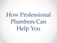 How Professional Plumbers Can Help You PowerPoint PPT Presentation