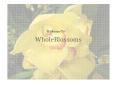 Wholeblossoms known for all kinds of floral arrangements PowerPoint PPT Presentation