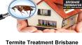 Search for fast and affordable Termite Treatment Brisbane PowerPoint PPT Presentation