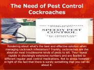The Need of Pest Control Cockroaches