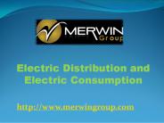 Electric Distribution and Electric Consumption -  www.merwingroup.com