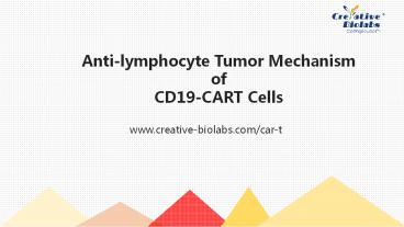 Anti-lymphocyte Tumor Mechanism  of  CD19-CART Cells