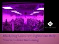 Black Dog Led Grow Lights Can Help You In Indoor Gardening PowerPoint PPT Presentation