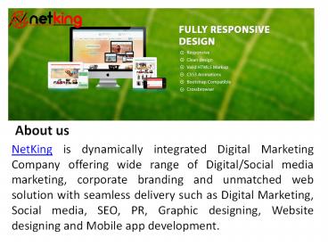 Netking Technologies - Top SMO & ORM Services in India