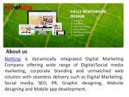 Netking Technologies - Top SMO & ORM Services in India