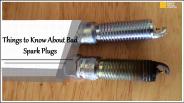 Things to Know About Bad Spark Plugs