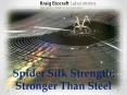 Spider Silk Strength: Stronger Than Steel PowerPoint PPT Presentation