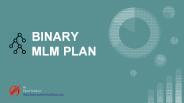 How Binary MLM Plan works?