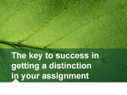The key to success in getting a distinction in your assignment