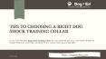 Tips to choosing a Right Dog Shock Training Collar PowerPoint PPT Presentation