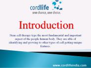 Many Sclerosis Procedure with Stem Cell Therapy