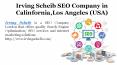 Irving Scheib, California, Los Angeles (USA) the top SEO Company PowerPoint PPT Presentation