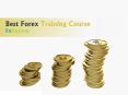 Forex trading training by FXRenew PowerPoint PPT Presentation