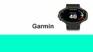 garmin ppt1