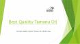 Best Quality Tamanu Oil