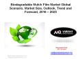 Biodegradable Mulch Film Market Global Scenario, Market Size, Outlook, Trend and Forecast, 2016 – 2025 (1) PowerPoint PPT Presentation