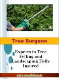 Tree Surgeon Dublin (1) PowerPoint PPT Presentation