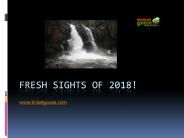 Fresh sights of 2018!