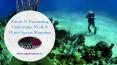 Private & Fascinating Underwater Walk & Water Sports Mauritius PowerPoint PPT Presentation