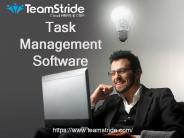 Task Mangement Software
