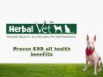 Proven CBD oil health benefits PowerPoint PPT Presentation