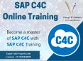 SAP C4C Training Material PPT (1)