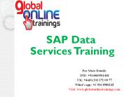 SAP Data Services Training |SAP Data Services Online Course