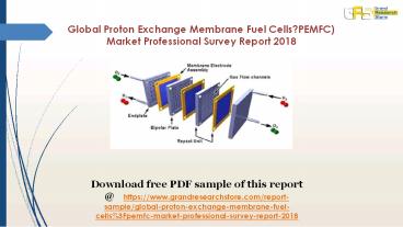 Proton Exchange Membrane Fuel Cells?PEMFC) Market Professional Survey Report 2018