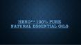 HBNO™ 100% Pure Natural Essential Oils PowerPoint PPT Presentation