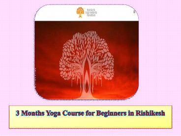 3 Months Yoga Course for Beginners in Rishikesh