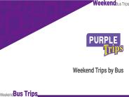 Weekend Trip By PurpleBus