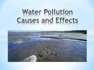 Water Pollution Causes and Effects