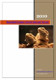 Bearded Dragon Beginner Guide (1)
