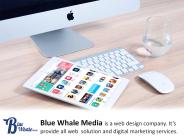 Cost-Effective Website – Blue Whale Media